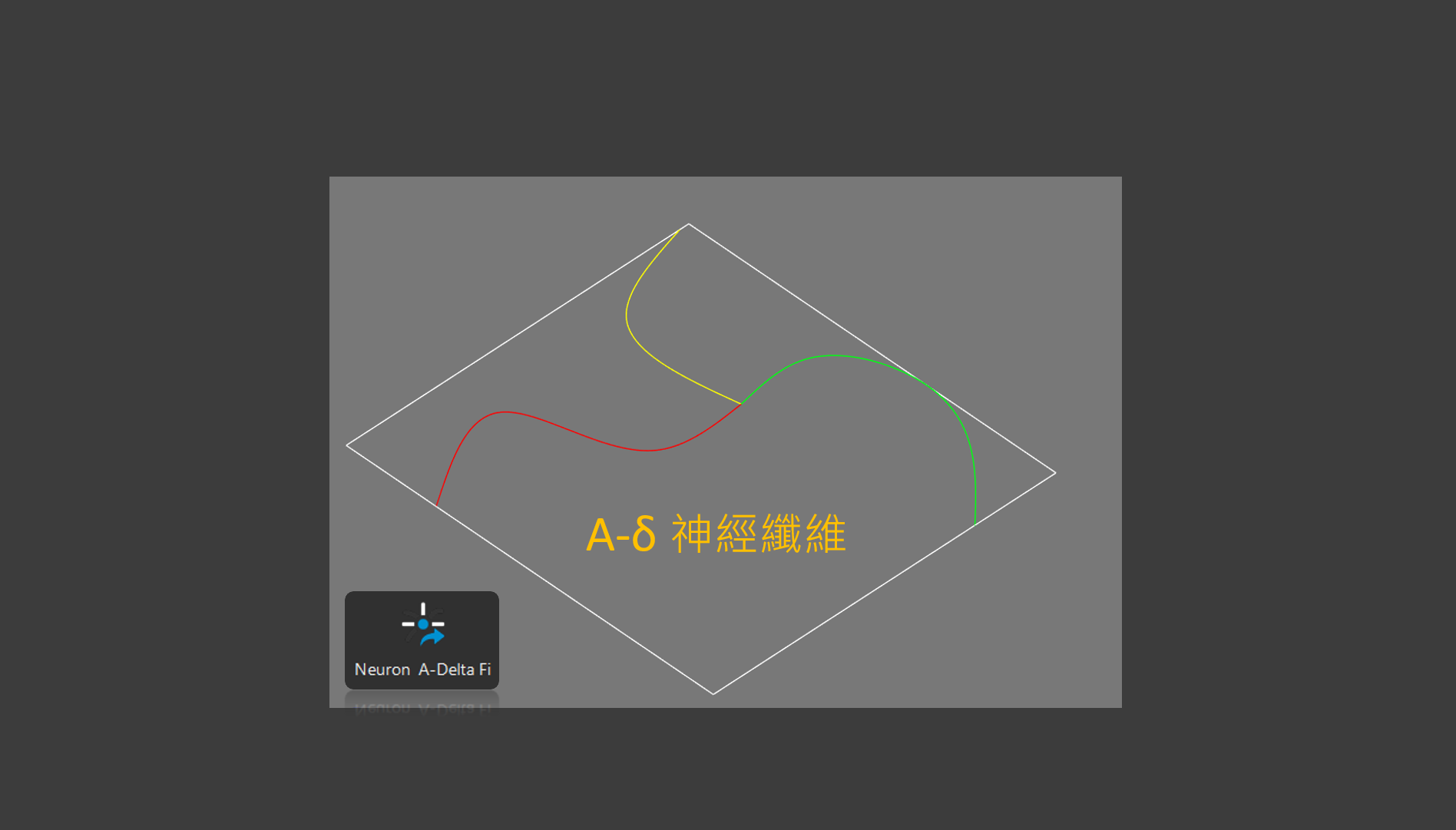 A-Delta 神经纤维建模