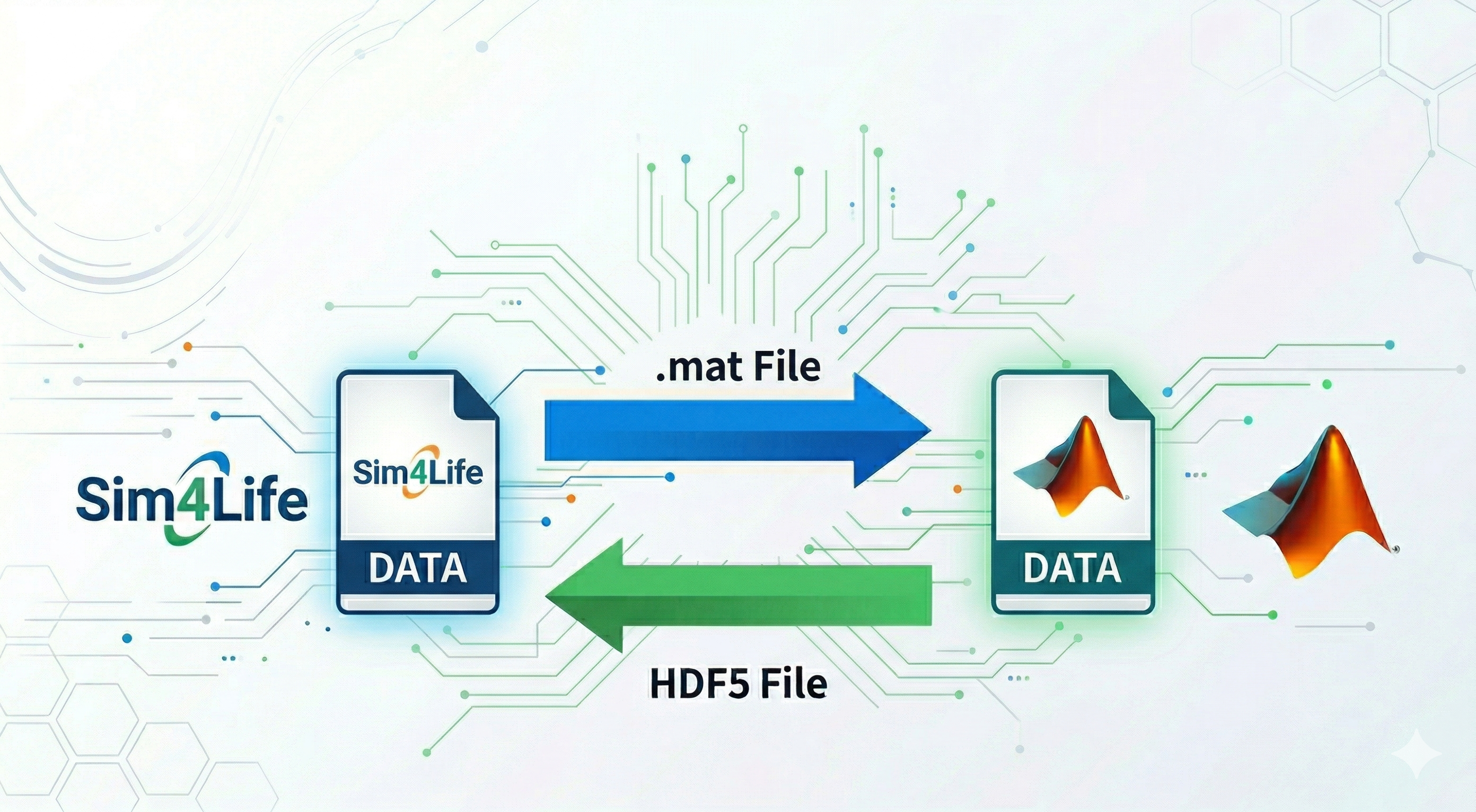 【Python API】將 Sim4Life 模擬數據匯入 MATLAB 進行後處理，再導回 Sim4Life 的流程解析