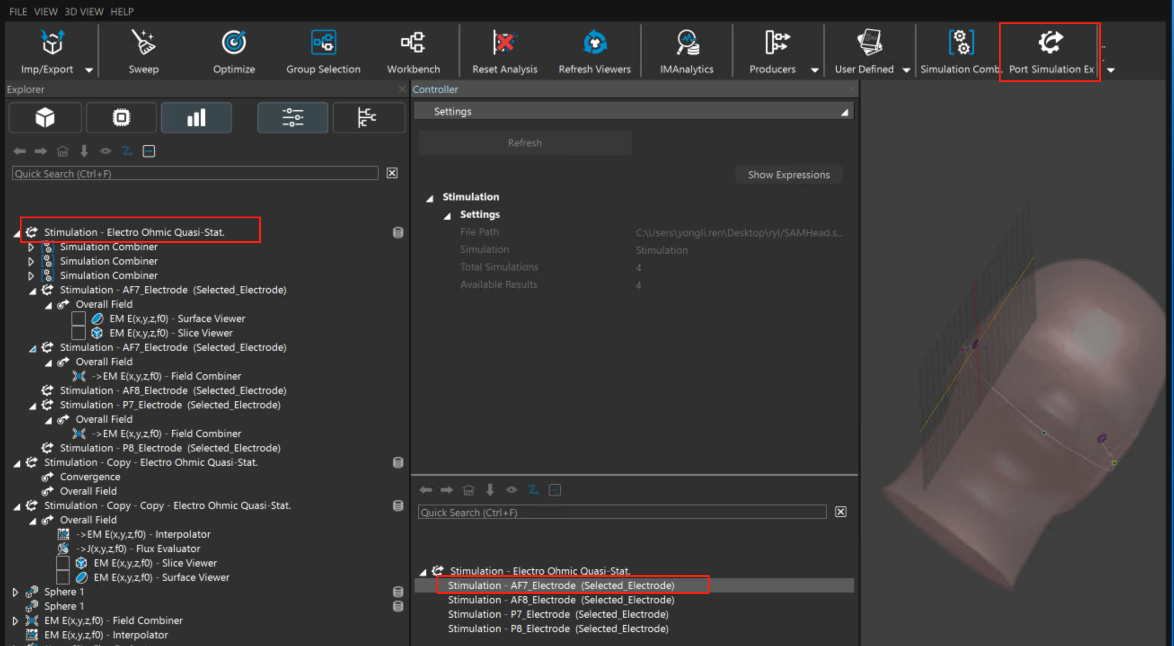 SAM-Head TI干涉实验（电流源刺激）-后处理