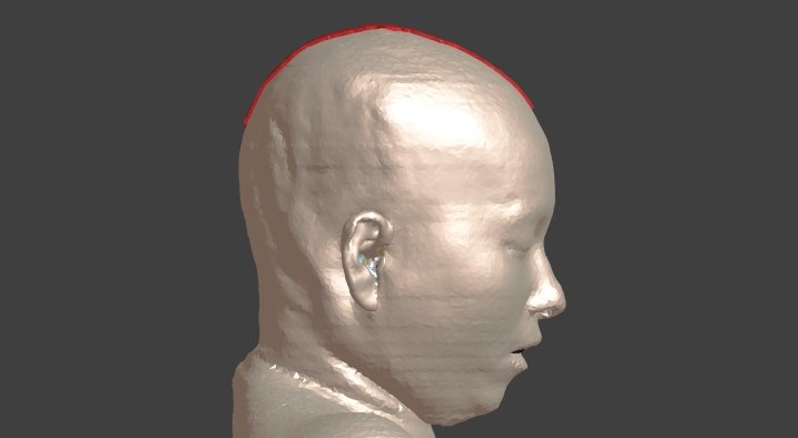 建立貼合人體表面的幾何模型