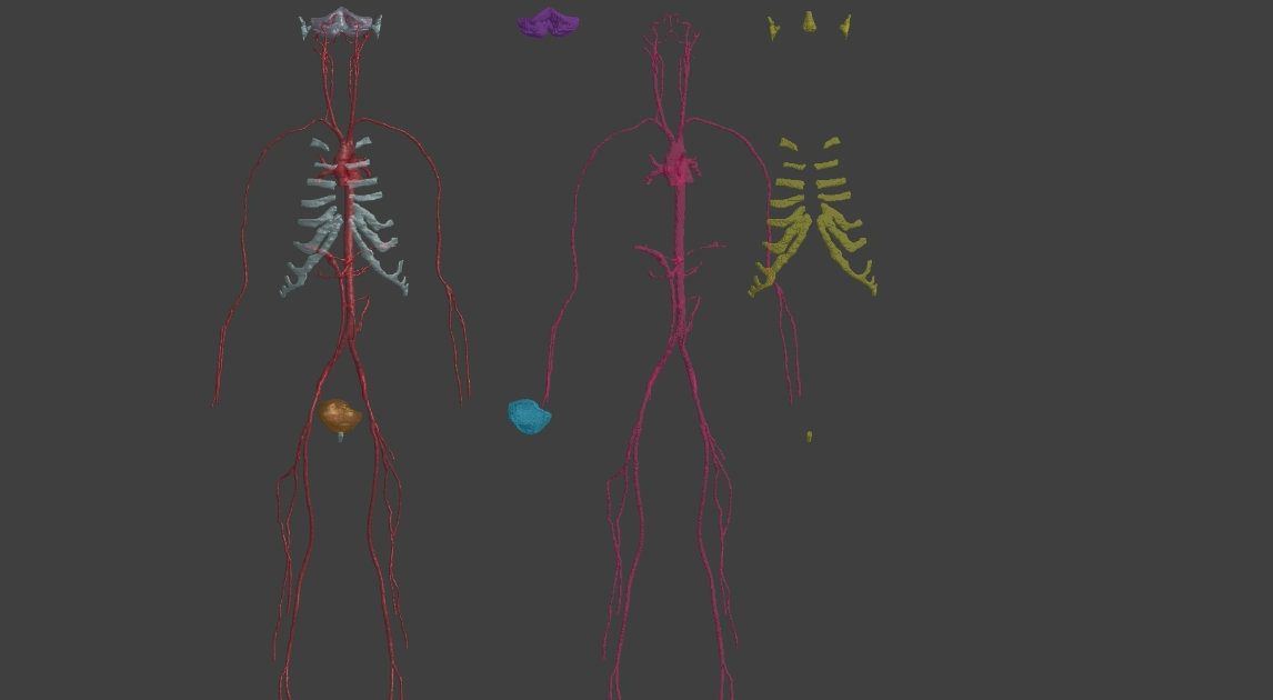 使用 Reconstruct Hull 重建组织外壳