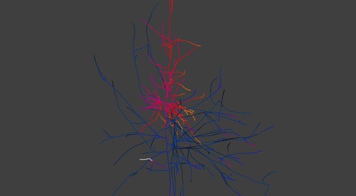 如何汇入神经模型