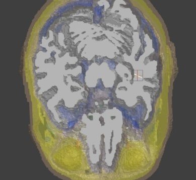 Sim4Life 中产生模型横切面（Planar Cut 操作步骤）