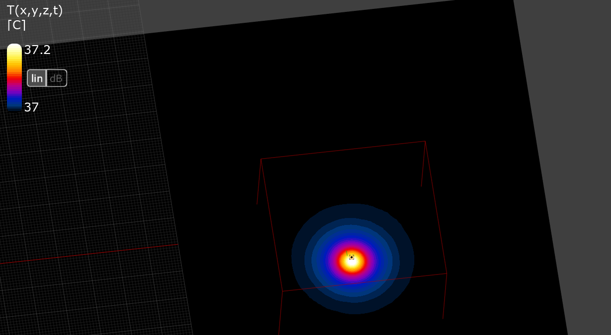 植入物熱求解器仿真設置