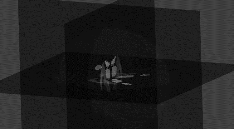 如何將模型轉換為nii格式