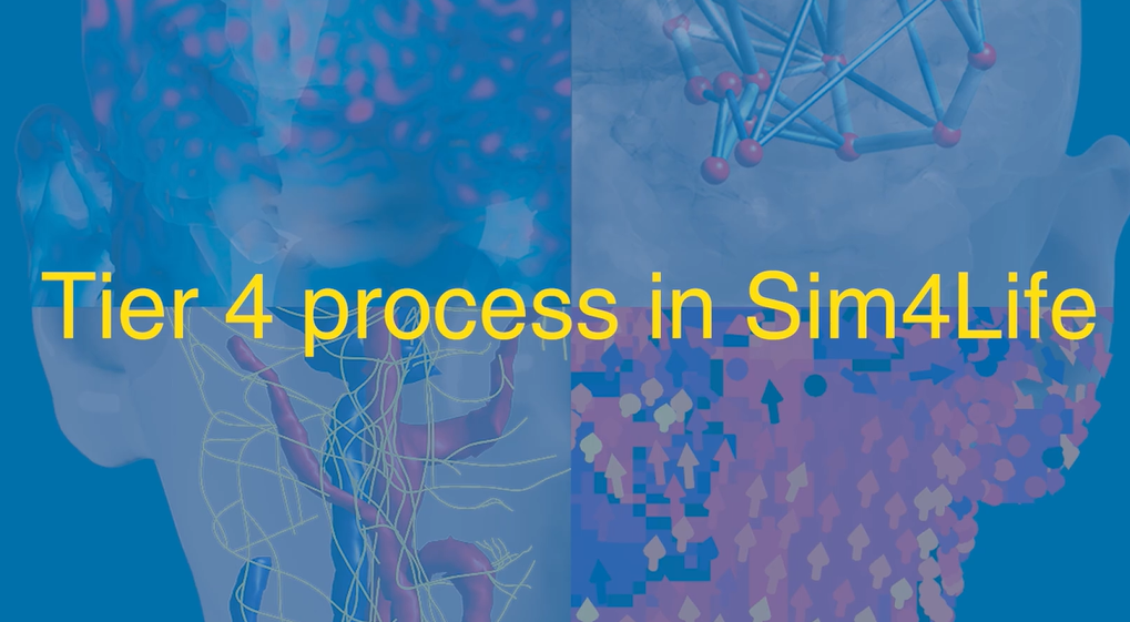 【植入物安全評估 2】ISO 10974 Tier 4 模擬流程