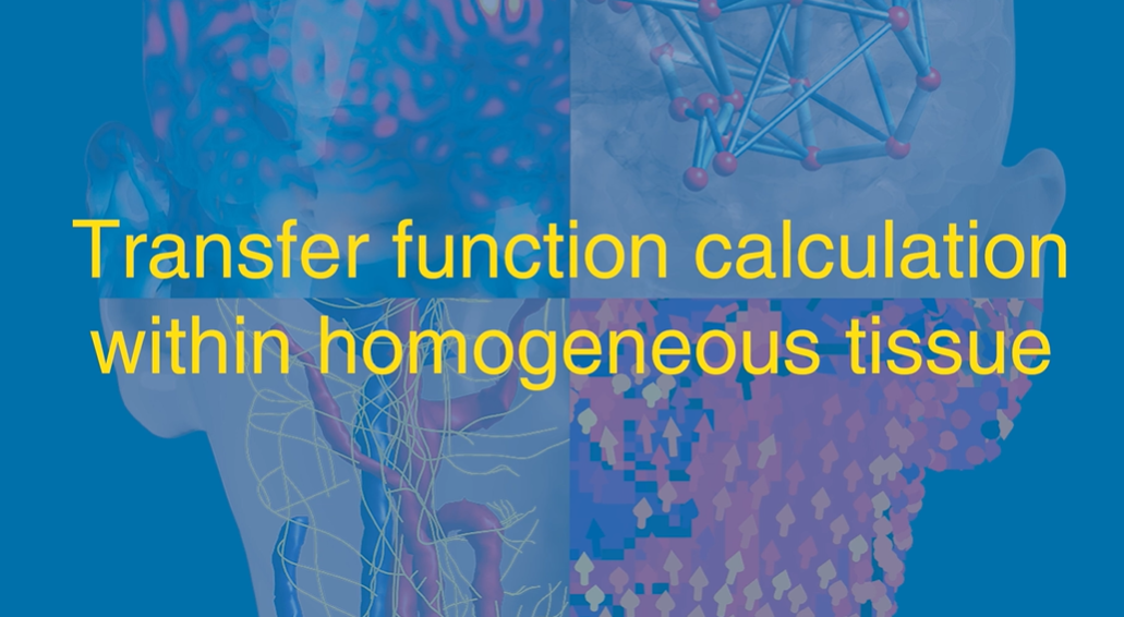 【植入物安全评估 1】均质组织传递函数的数值估计