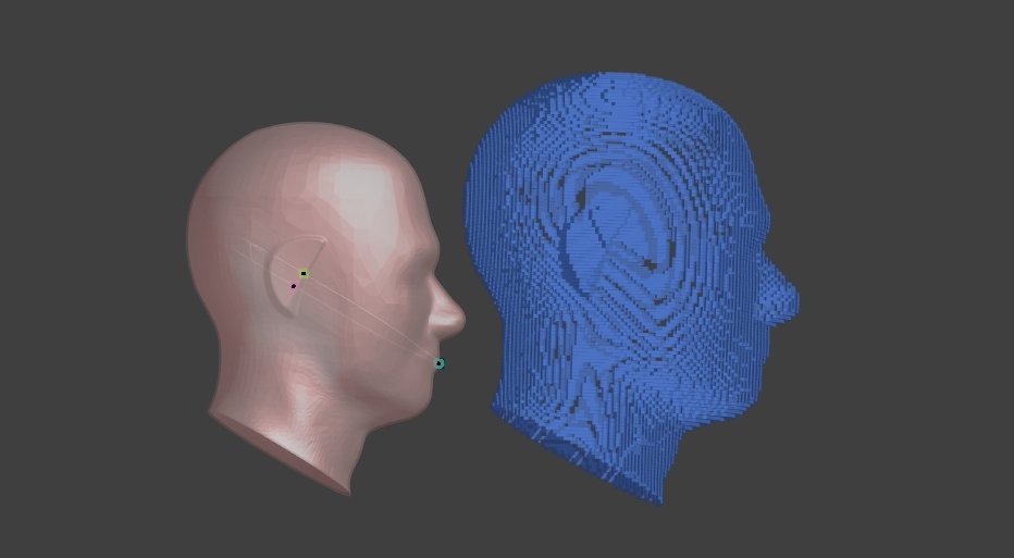 用Python導出體素資料 ( voxel data )