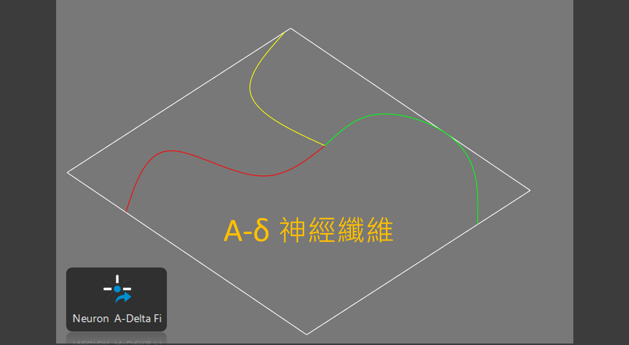A-Delta 神經纖維建模