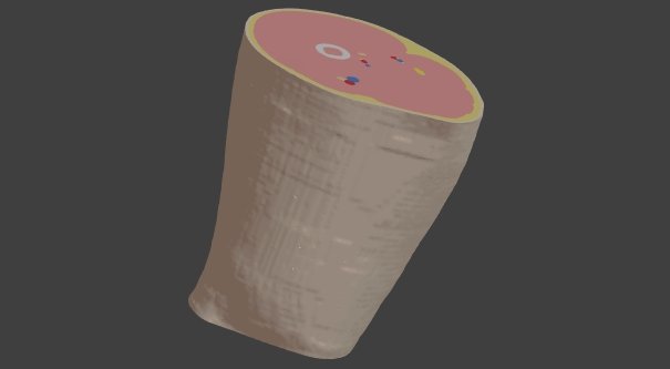 提取VIP模型區塊