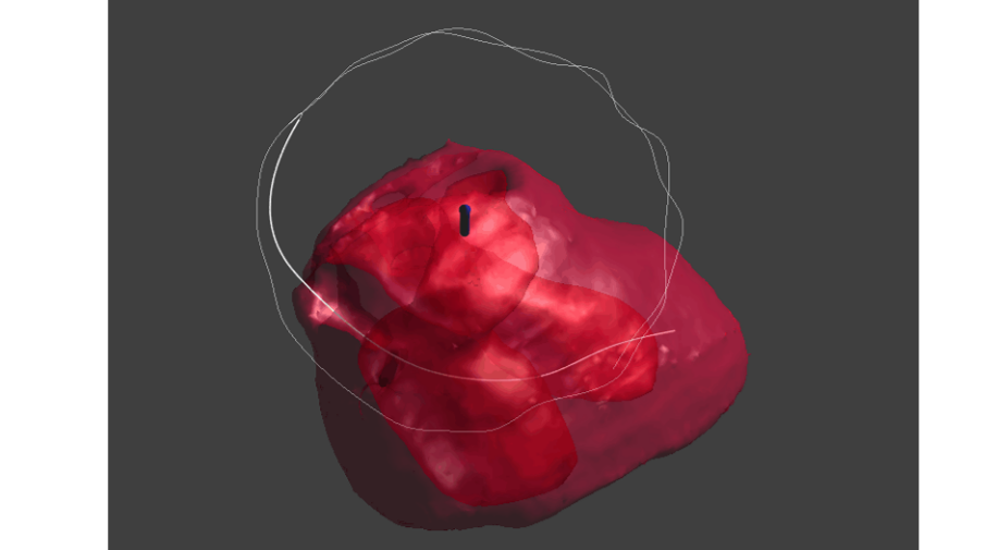 在模型表面建立環狀線條（Loops）並進行線段連接操作