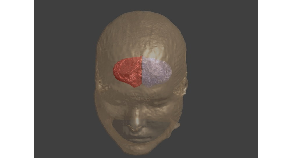 使用 Make Symmetric 製作對稱模型