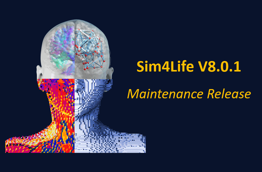 Sim4Life V8.0.1 维护版本发布