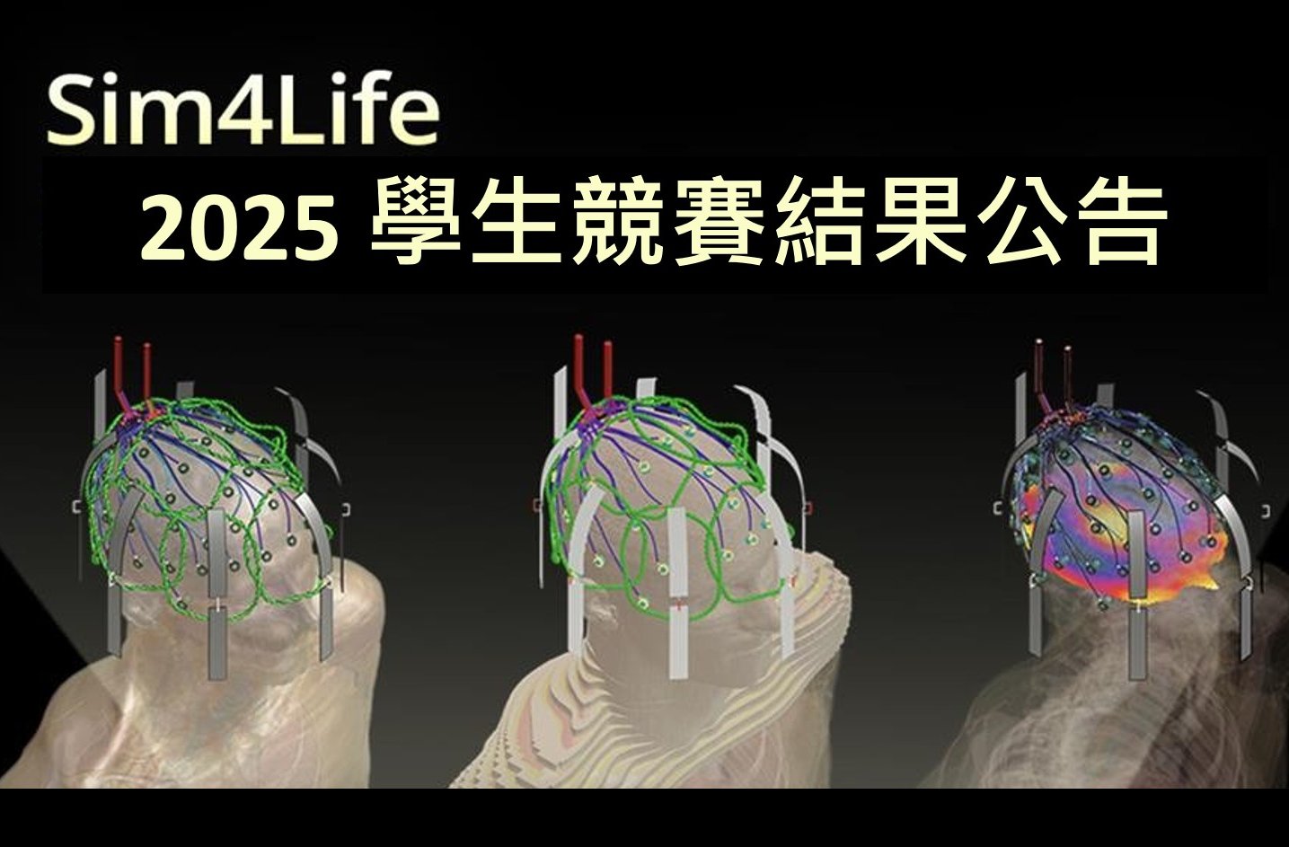 2025 年 Sim4Life 學生競賽得獎者公告