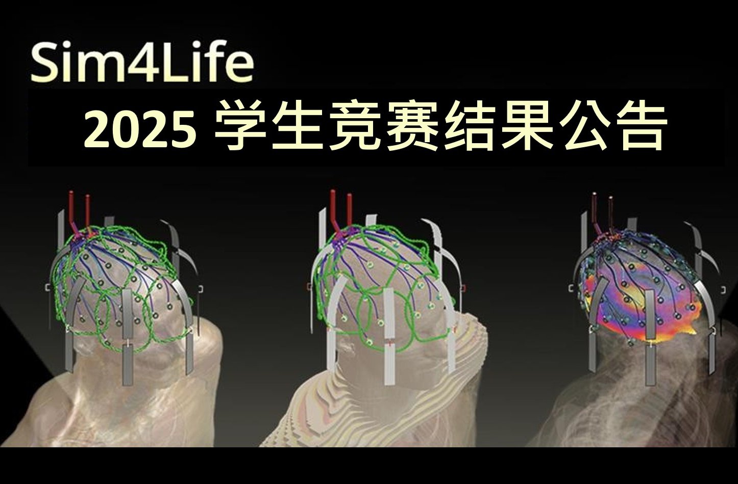 2025 年 Sim4Life 学生竞赛得奖者公告
