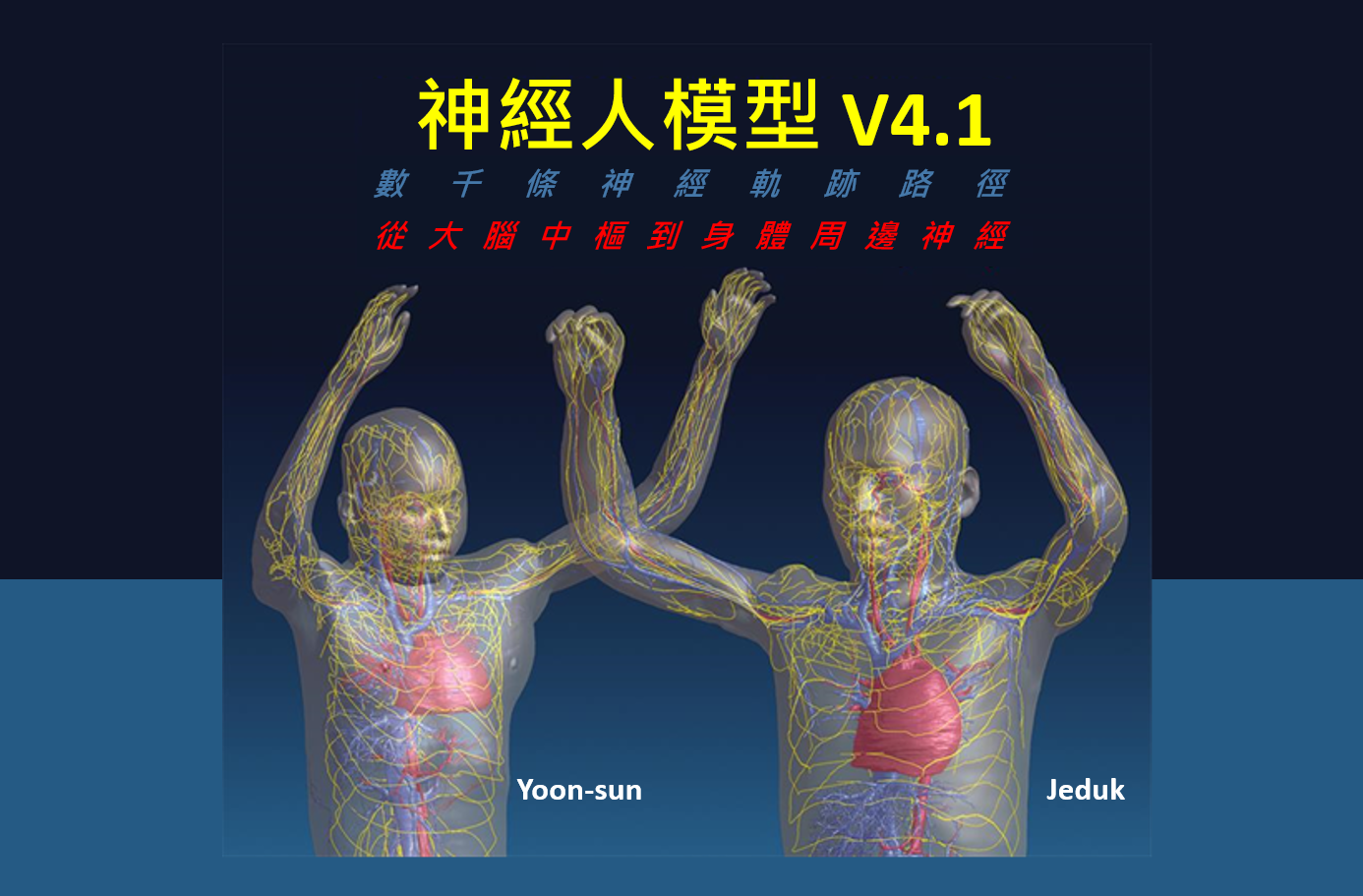 新一代神經功能化 ViP 模型發佈 - Yoon-sun V4.1 與 Jeduk V4.1