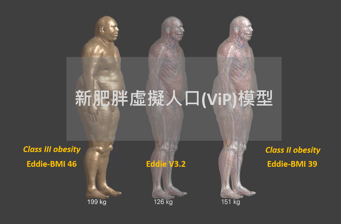 虛擬人口模型(ViP)擴充: 新增第二級與第三級肥胖模型