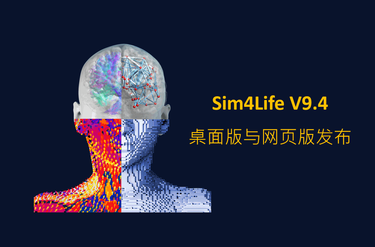 Sim4Life V9.4 正式发布: 聚焦计算神经刺激，全面提升平台效能与使用体验