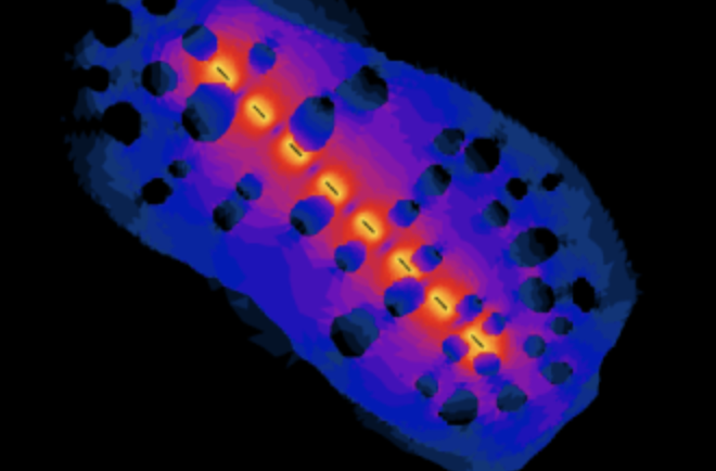 2024 年 Sim4Life.lite 学生竞赛得奖者公告