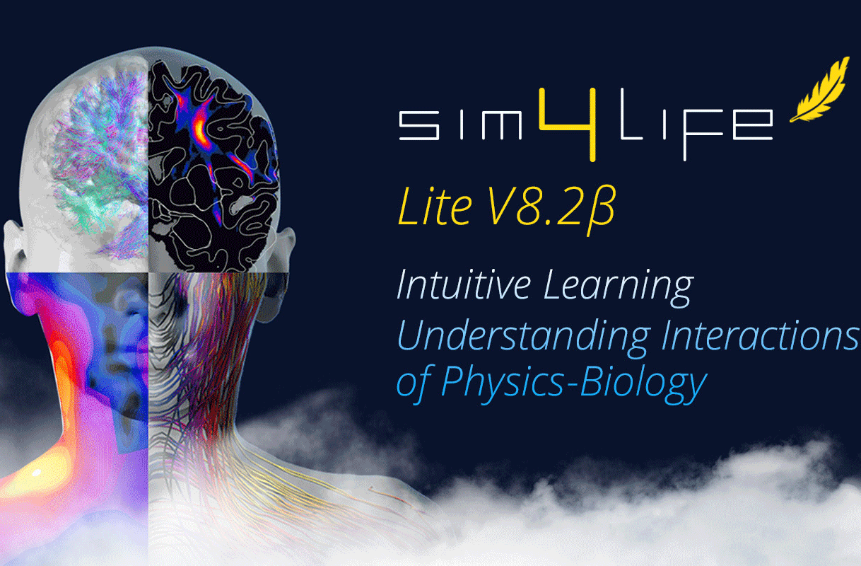 Sim4Life.lite V8.2 测试版发布