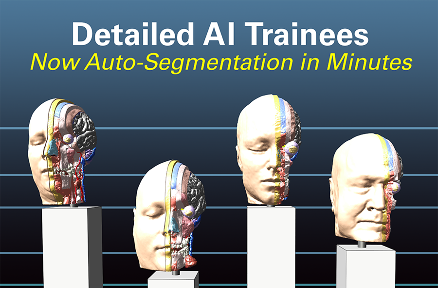 增強型工具為自動頭部分割設定新標準- |X| 頭部模型