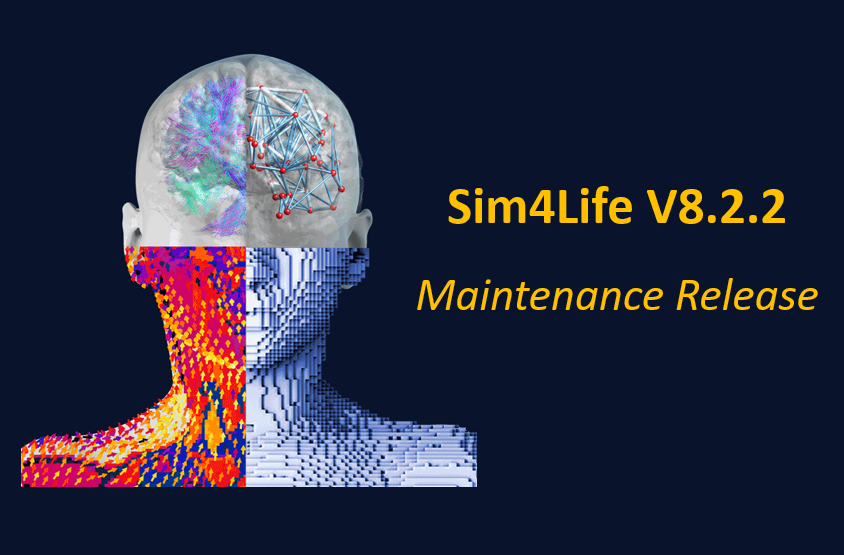 Sim4Life V8.2.2 维护版本发布