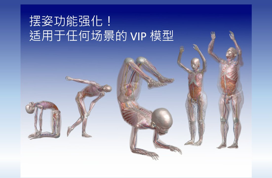 虚拟人口 (ViP) 姿势调整功能更新