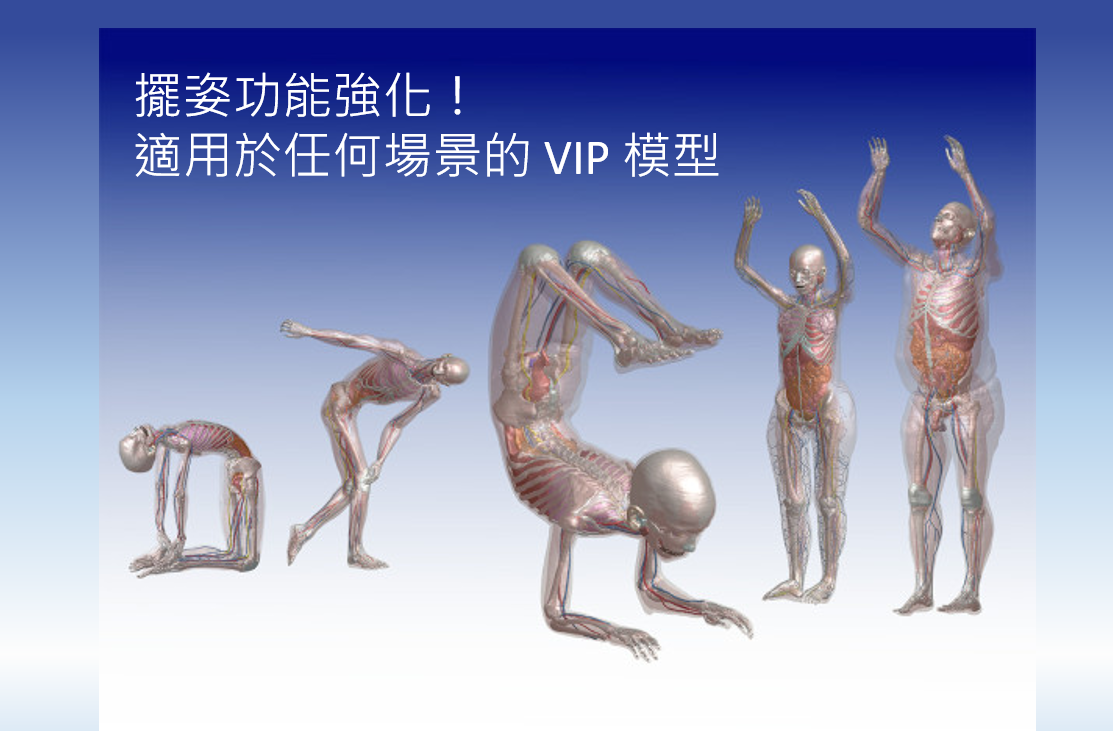 虛擬人口 (ViP) 姿勢調整功能更新