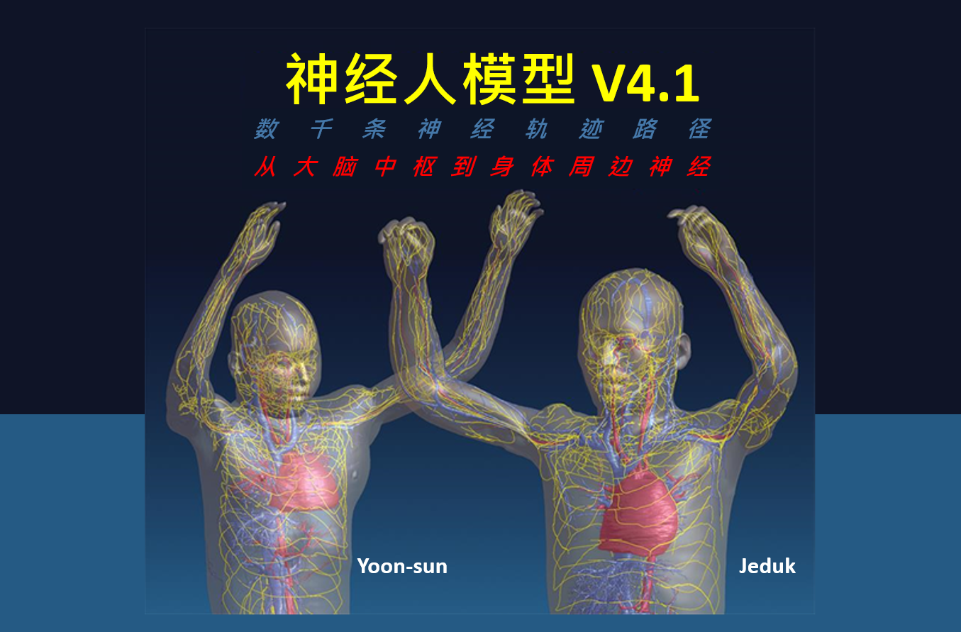 新一代神经功能化 ViP 模型发布 - Yoon-sun V4.1 与 Jeduk V4.1